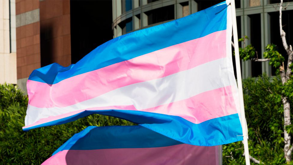 transgenderflag