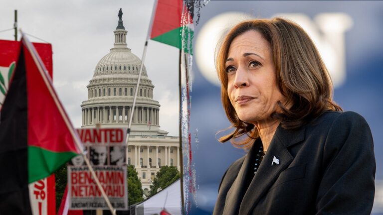 kamala harris israel protest dc