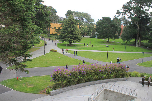 sf state