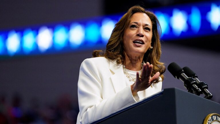 Donald Trump Kamala Harris 2024 Election Rally 02