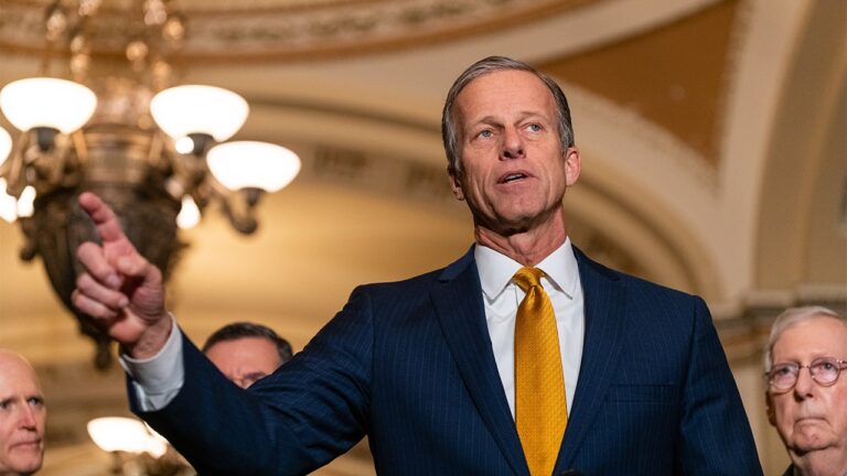 John Thune Senate Republicans