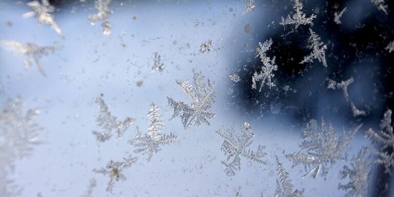 Snowflakes in a window panoramio