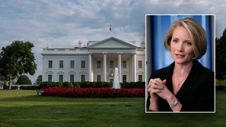 dana perino white house