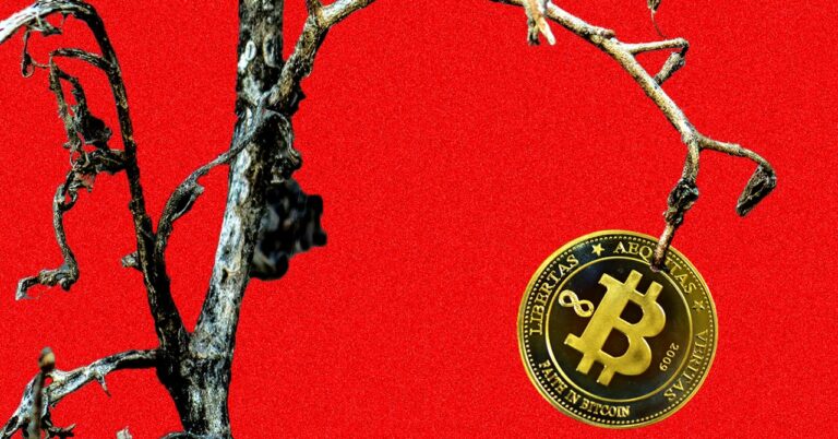 Kentucky Farmers Crypto Mining Duped Business