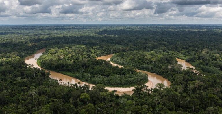 amazon brazil