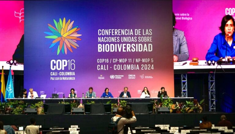 1050x600 cop16 un biodiversity cc 2