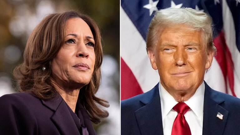 1731401085 kamala harris donald trump