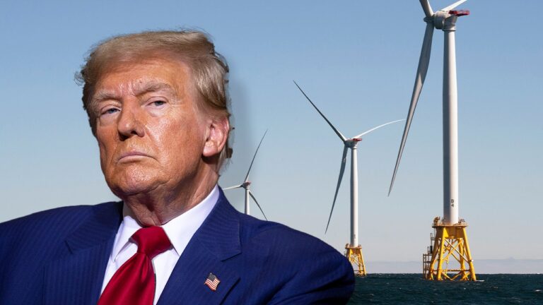 trump windturbines